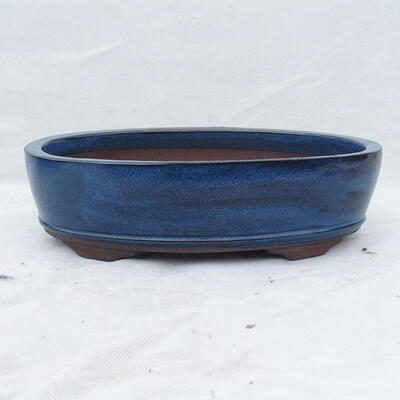 Miska Bonsai 30 x 20 x 7 cm, kolor niebieski - 1