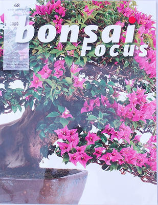 Bonsai focus - niemiecki nr 68 - 1