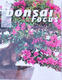 Bonsai focus - niemiecki nr 68 - 1/7