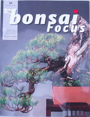 Bonsai focus - Niemiecki No.69 - 1
