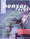 Bonsai focus - Niemiecki No.69 - 1/6