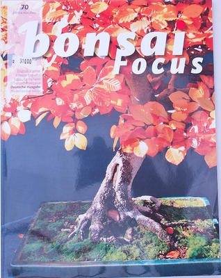 Bonsai focus - niemiecki nr 70 - 1