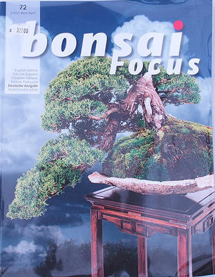 Bonsai focus - niemiecki nr 72 - 1
