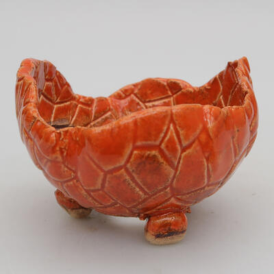 Ceramiczna muszla 8 x 8 x 5 cm, kolor pomarańczowy - 1