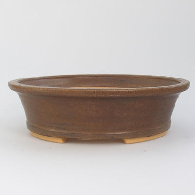 Ceramiczna miska z bonsai - 1