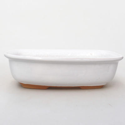 Ceramiczna miska bonsai H 08 - 24,5 x 18 x 7 cm, biały - 1