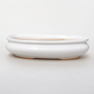 Ceramiczna miska bonsai H 15 - 26,5 x 17 x 6 cm, biały - 1