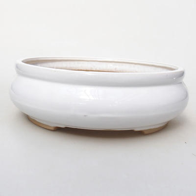 Ceramiczna miska bonsai H 21-23 x 23 x 7 cm, biały - 1