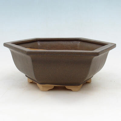 Ceramiczna miska bonsai H 53 - 20 x 18 x 7,5 cm - 1