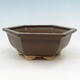 Ceramiczna miska bonsai H 53 - 20 x 18 x 7,5 cm - 1/3