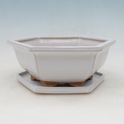 Misa ceramiczna + spodek H53 - miska 20 x 18 x 7,5 cm spodek 18 x 15,5 x 1,5 cm, biały - 1