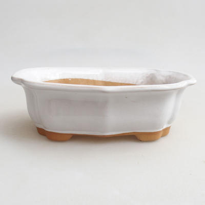 Ceramiczna miska bonsai H 51-17,5 x 13,5 x 5,5 cm, biały - 1