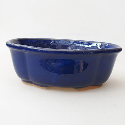 Miska Bonsai H 75-19 x 14 x 7 cm, niebieski - 1