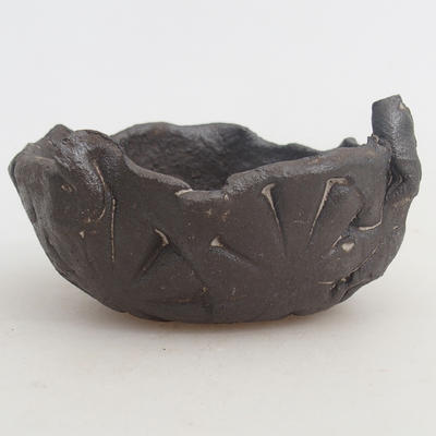 Ceramiczna skorupa - 1
