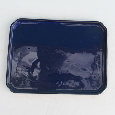 Taca na wodę Bonsai H 20 - 26,5 x 20 x 1,5 cm, niebieski - 26,5 x 20 x 1,5 cm - 1