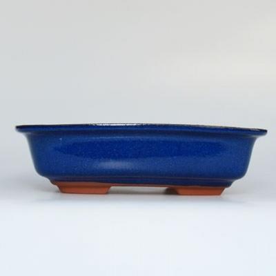 Ceramiczna miska bonsai H 02 - 19 x 13,5 x 5 cm, niebieski - 19 x 13,5 x 5 cm - 1