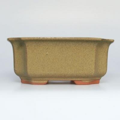 Ceramiczna miska bonsai H 01 - 12 x 9 x 5 cm, beżowy - 12 x 9 x 5 cm - 1