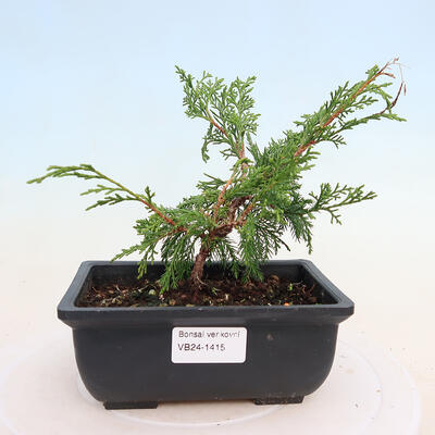Ceramiczna miska bonsai 16,5 x 13,5 x 3,5 cm, kolor zielony - 1