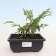 Ceramiczna miska bonsai 16,5 x 13,5 x 3,5 cm, kolor zielony - 1/3