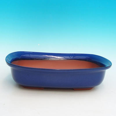 Ceramiczna miska bonsai H 10 - 37 x 27 x 10 cm, niebieski - 37 x 27 x 10 cm - 1