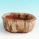 Ceramiczna miska bonsai H 13 - 11,5 x 11,5 x 4,5 cm, beżowy - 11,5 x 11,5 x 4,5 cm - 1/3