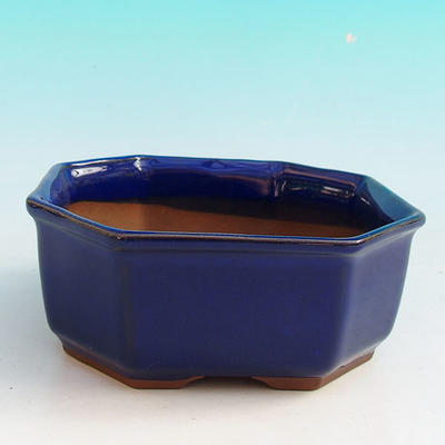 Ceramiczna miska bonsai H 13 - 11,5 x 11,5 x 4,5 cm, niebieski - 11,5 x 11,5 x 4,5 cm - 1