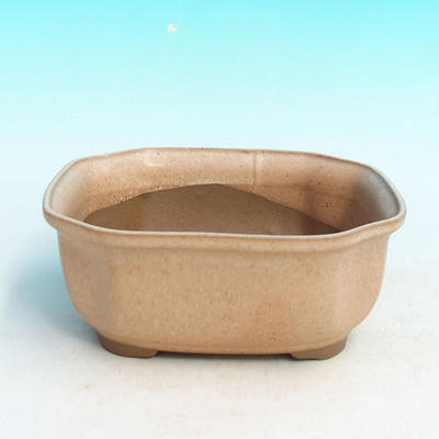 Ceramiczna miska bonsai H 31 - 14,5 x 12,5 x 6 cm, beżowy - 14,5 x 12,5 x 6 cm - 1