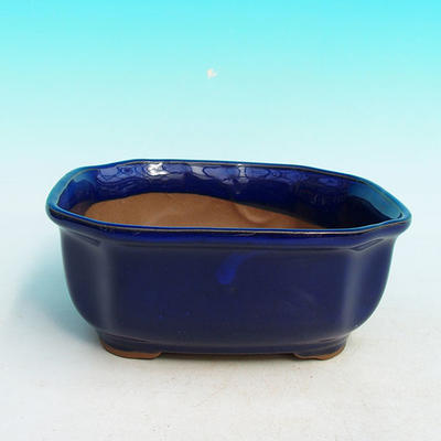 Ceramiczna miska bonsai H 31 - 14,5 x 12,5 x 6 cm, niebieski - 14,5 x 12,5 x 6 cm - 1