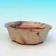 Ceramiczna miska bonsai H 06 - 14,5 x 14,5 x 4,5 cm, beżowy - 14,5 x 14,5 x 4,5 cm - 1/3