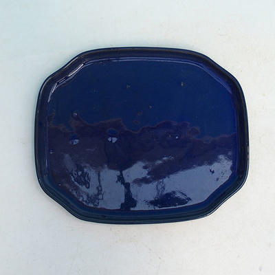 Taca na wodę Bonsai H 31 - 15 x 12,5 x 1 cm, niebieski - 15 x 12,5 x 1 cm - 1