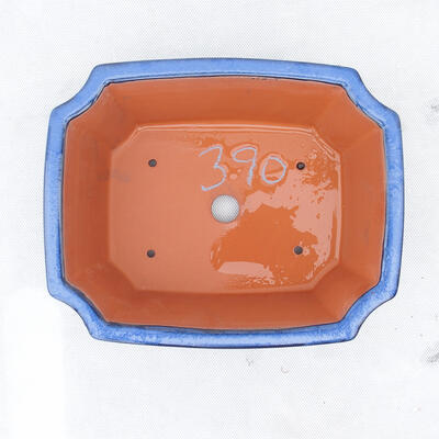 Miska Bonsai 22 x 17,5 x 6 cm, kolor niebieski - 2