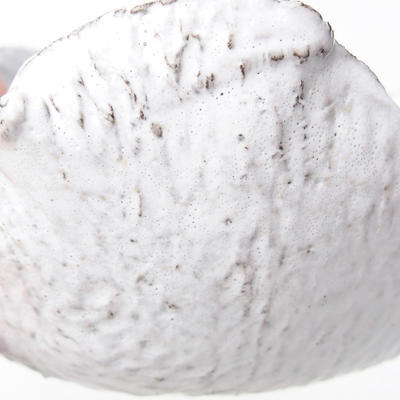 Ceramiczna skorupa 7,5 x 7 x 5,5 cm, kolor biały - 2