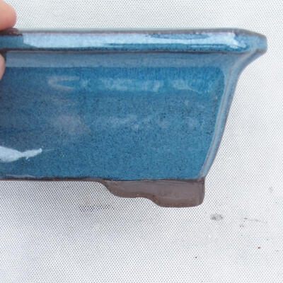 Miska Bonsai 23 x 17 x 8,5 cm, kolor niebieski - 2