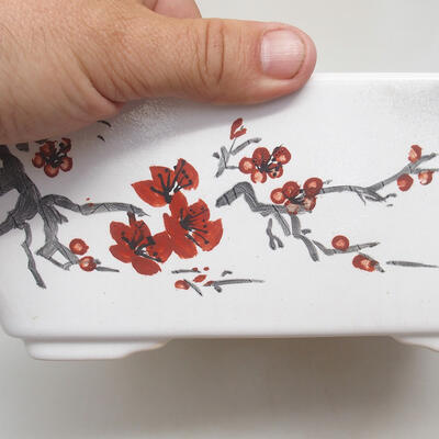 Ceramiczna miska bonsai 22 x 22 x 9 cm, kolor biały - 2