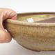 Ceramiczna miska bonsai - 22 x 22 x 6,5 cm, kolor brązowo-żółty - 2/3