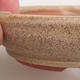 Ceramiczna miska bonsai 11 x 11 x 3 cm, kolor beżowy - 2/3
