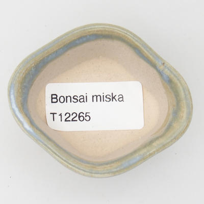 Mini miska z bonsai - 2