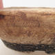 Ceramiczna miska bonsai 15,5 x 15,5 x 5 cm, kolor szary - II gatunek - 2/3