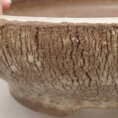 Ceramiczna miska bonsai 19,5 x 19,5 x 6 cm, kolor spękany - 2