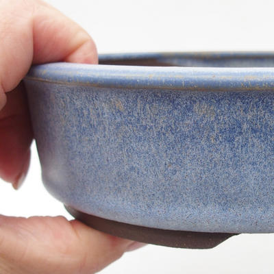 Ceramiczna miska bonsai 16 x 16 x 4,5 cm, kolor niebieski - 2