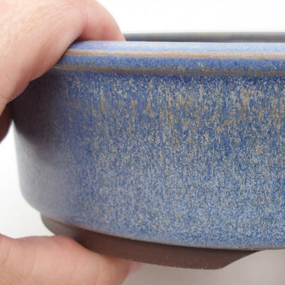 Ceramiczna miska bonsai 16 x 16 x 5 cm, kolor niebieski - 2