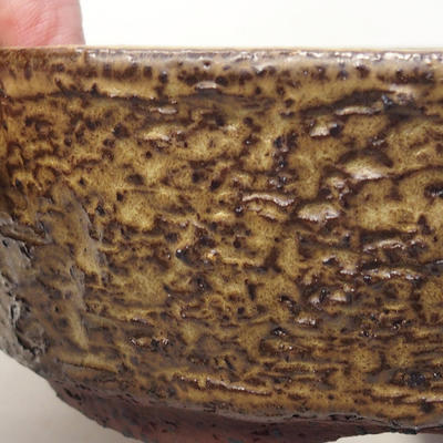 Ceramiczna miska bonsai 15,5 x 15,5 x 5,5 cm, kolor brązowy - 2