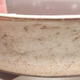 Ceramiczna miska bonsai 10 x 10 x 3 cm, kolor beżowy - 2/4