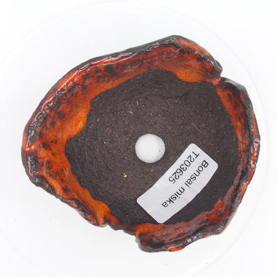 Ceramiczna skorupa 9 x 8 x 5 cm, kolor pomarańczowy - 2
