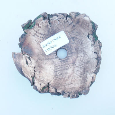 Ceramiczna skorupa 10 x 10 x 4,5 cm, kolor brązowo-zielony - 2