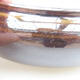 Ceramiczna miska bonsai 15 x 15 x 6 cm, kolor brązowy - 2/3