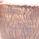 Ceramiczna miska bonsai 13 x 13 x 14 cm, kolor szary - 2/3