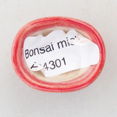 Mini miska bonsai 3 x 2,5 x 1,5 cm, kolor czerwony - 2