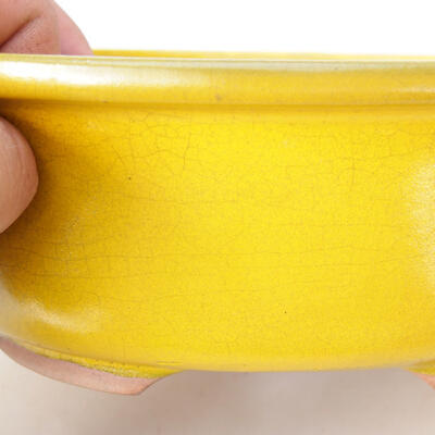 Ceramiczna miska bonsai 22,5 x 18,5 x 8 cm, kolor żółty - 2