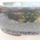 Ceramiczna miska bonsai 17,5 x 17,5 x 5 cm, kolor zielony - 2/3